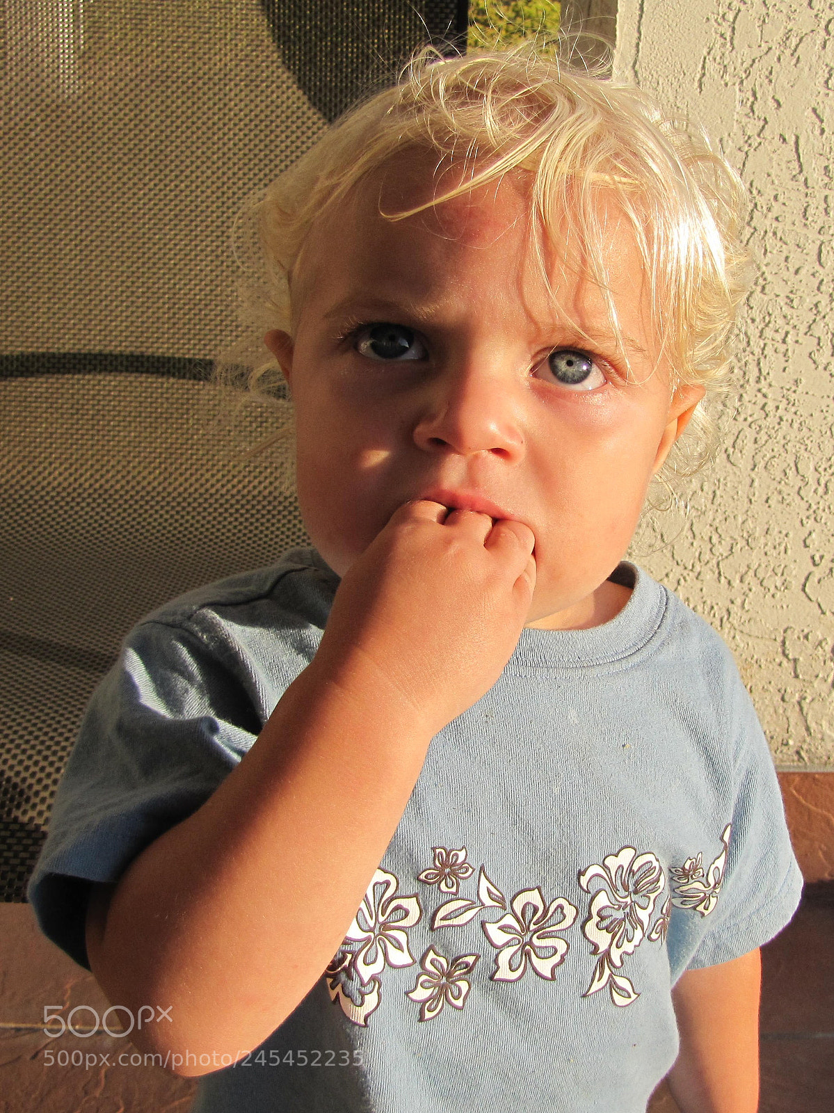 Canon PowerShot SX20 IS sample photo. Tasty finger sandwich photography