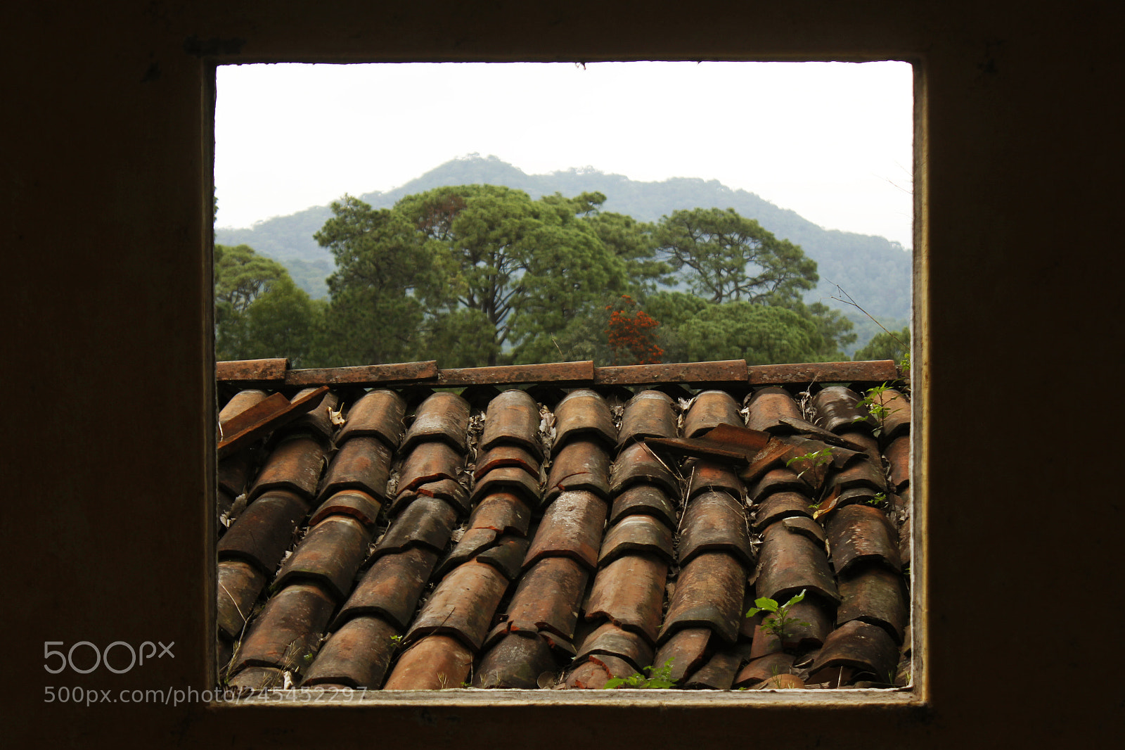 Canon EOS 550D (EOS Rebel T2i / EOS Kiss X4) sample photo. Scape window photography