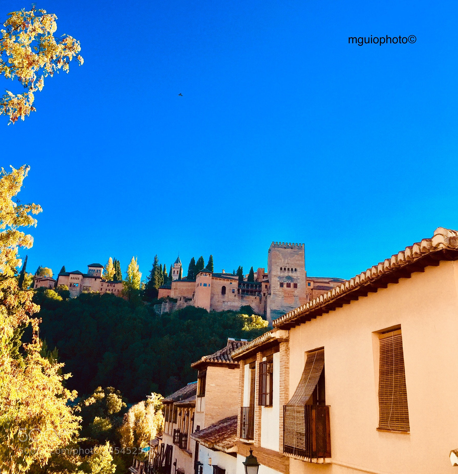 Apple iPhone 6 Plus sample photo. Alhambra photography