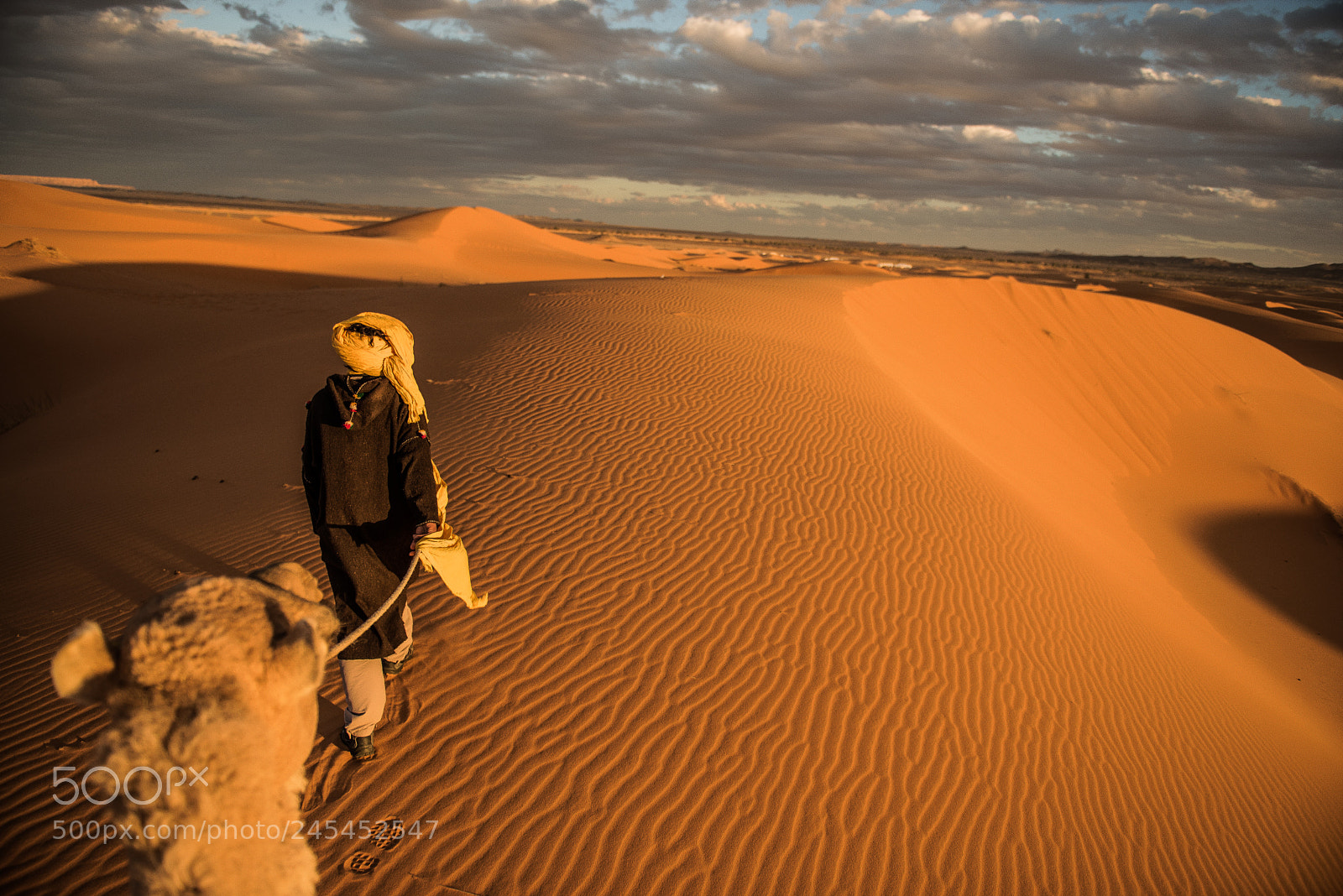 Nikon D810 sample photo. Sahara photography