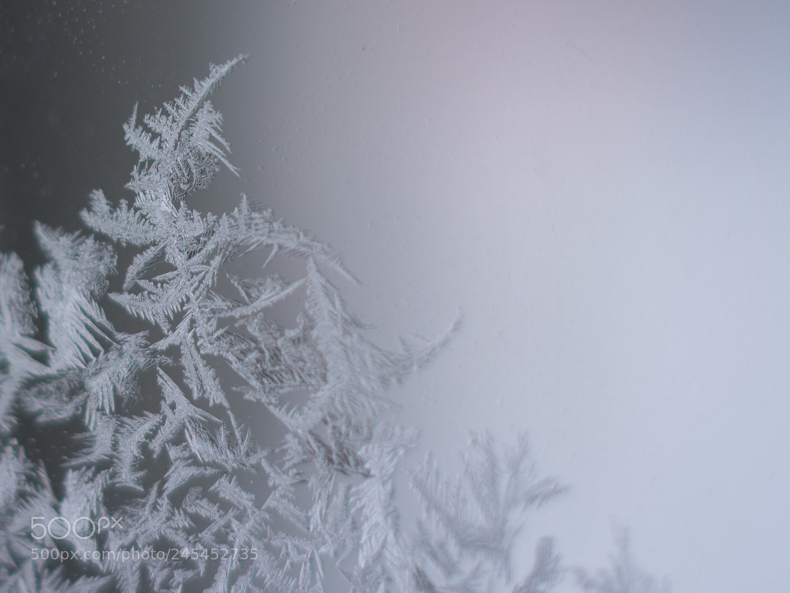 Nikon D3400 sample photo. Ice on the windows. photography