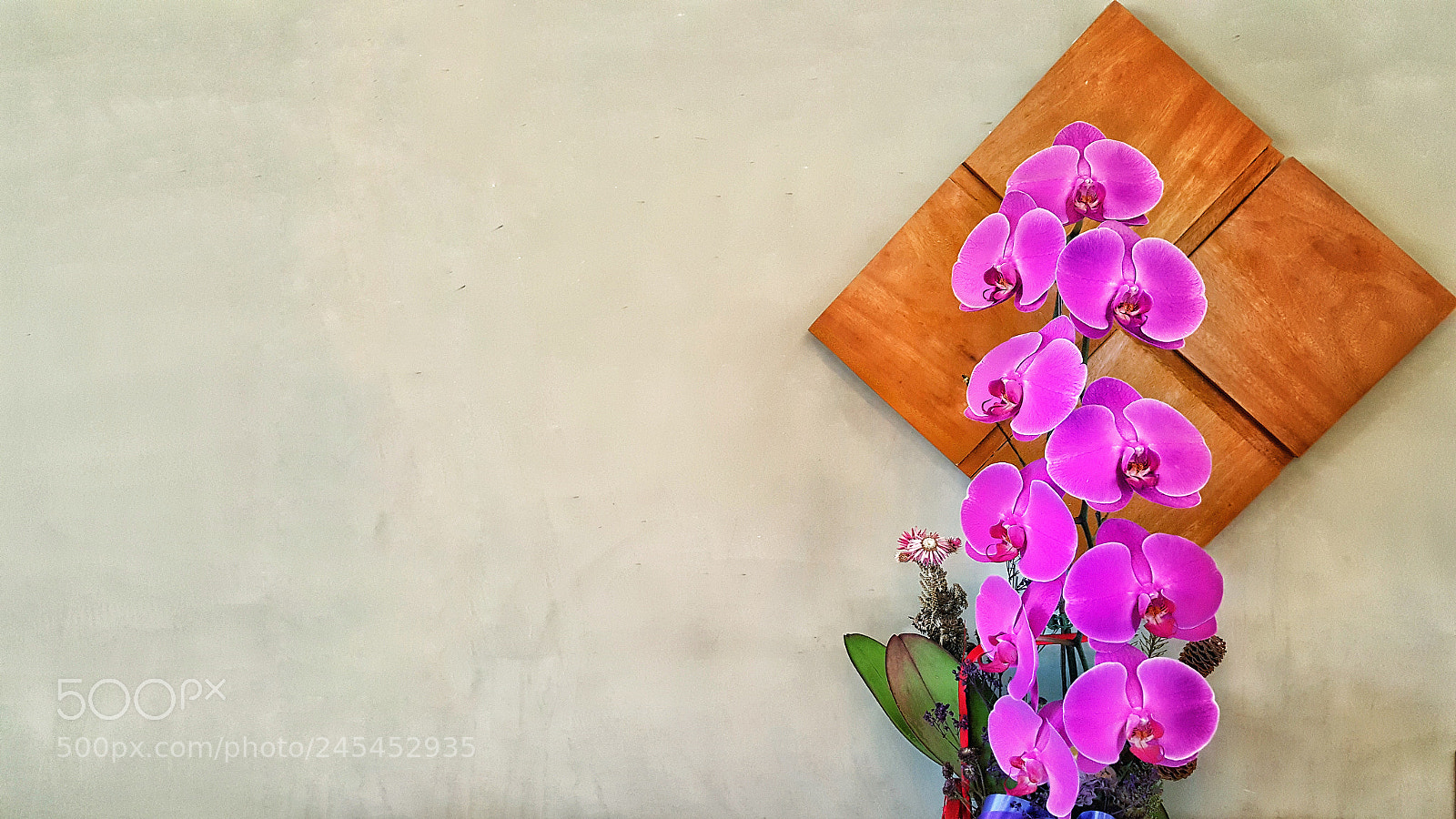 Samsung Galaxy Note5 sample photo. Butterfly orchid photography