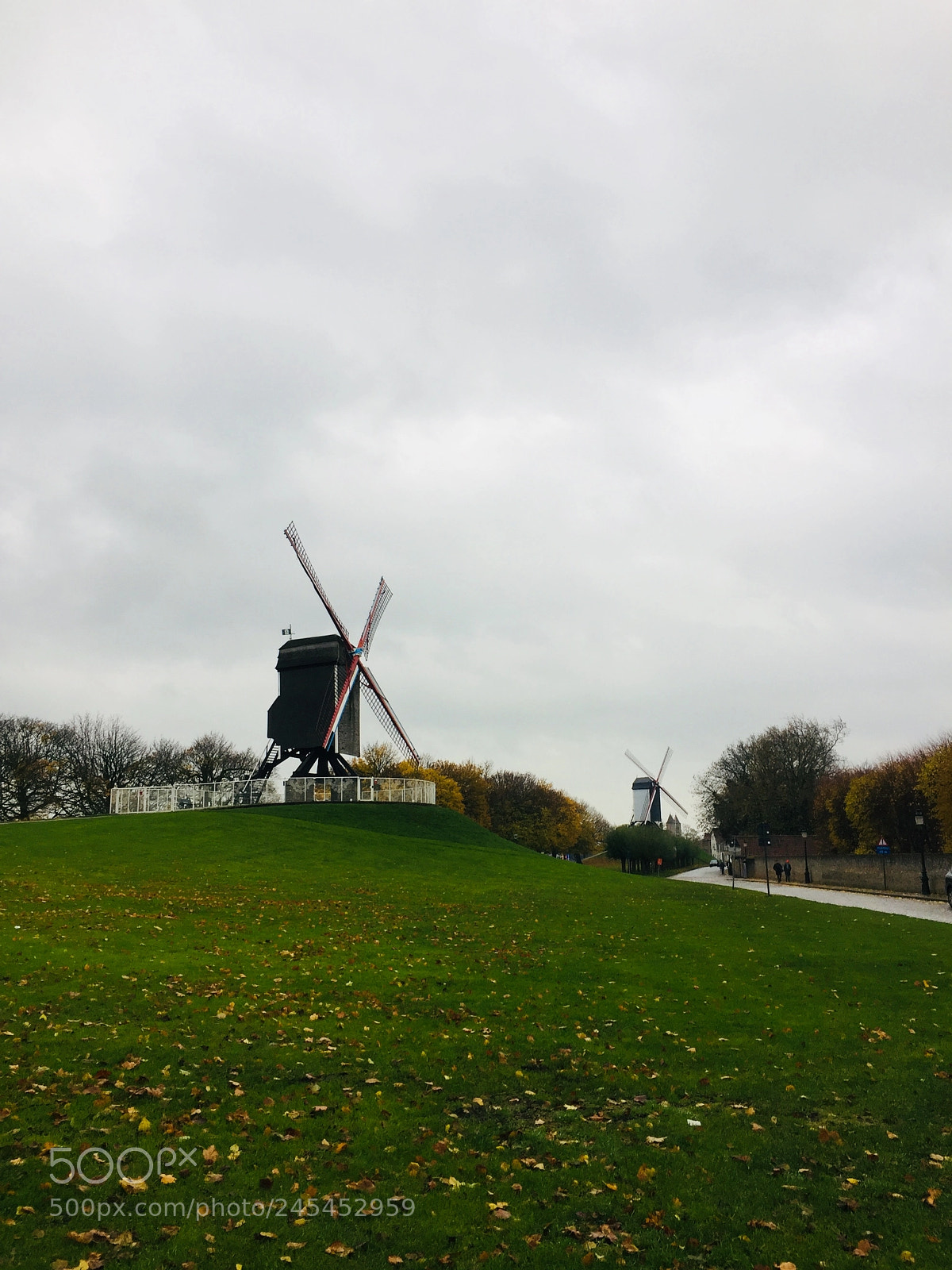 Apple iPhone 6 sample photo. Img photography