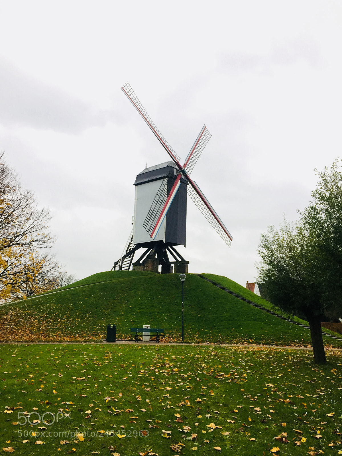 Apple iPhone 6 sample photo. Img photography
