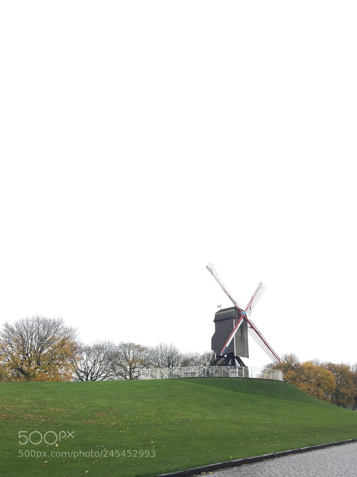 Apple iPhone 6 sample photo. Img photography