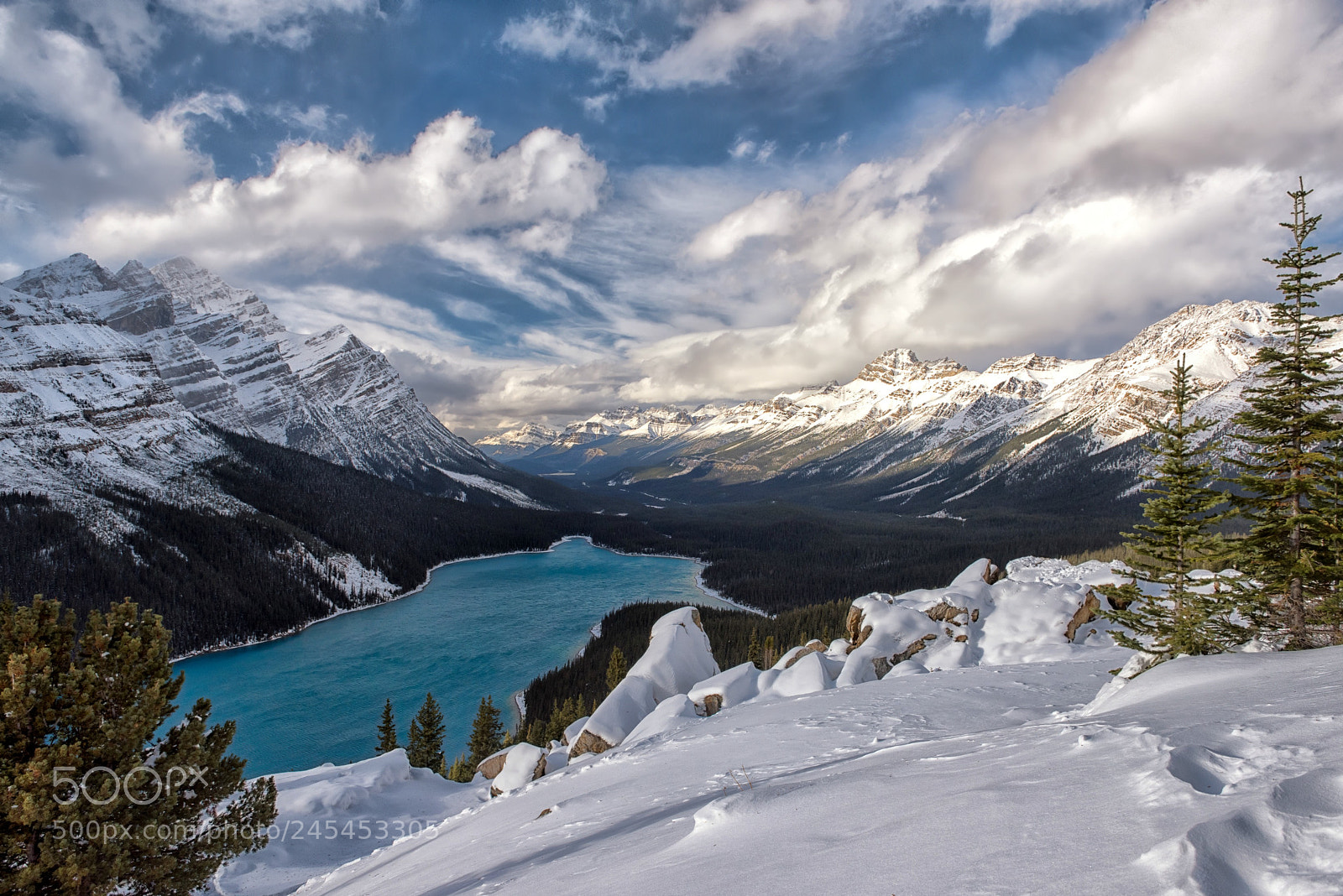 Nikon D810 sample photo. Winter at peyto lake photography