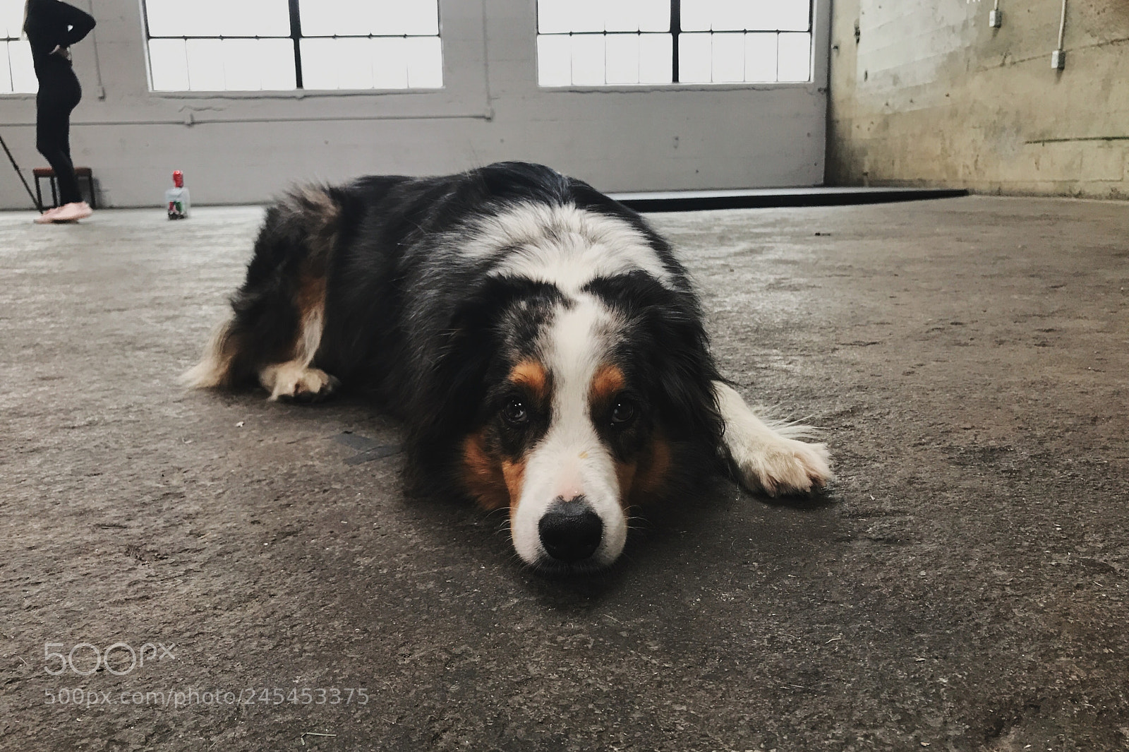 Apple iPhone 7 Plus sample photo. // we’re better together photography