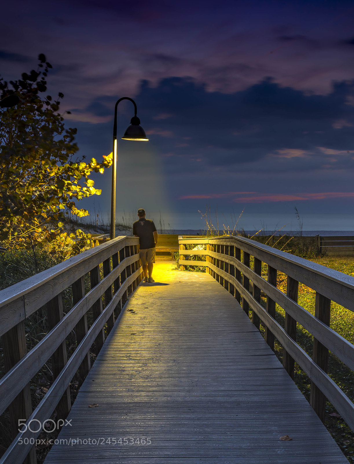 Pentax K-1 sample photo. Under the light photography