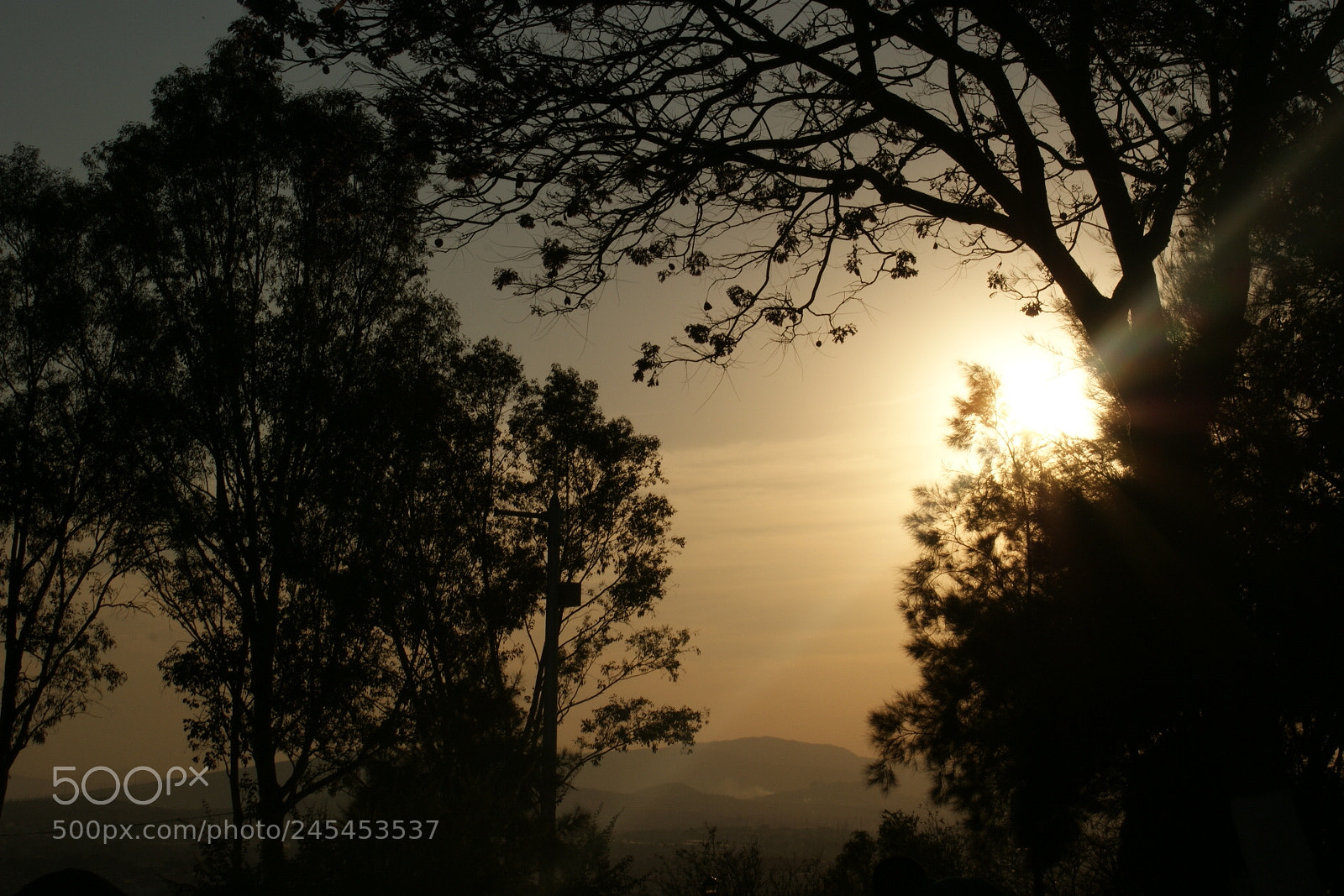 Sony DT 18-70mm F3.5-5.6 sample photo. Sunset photography