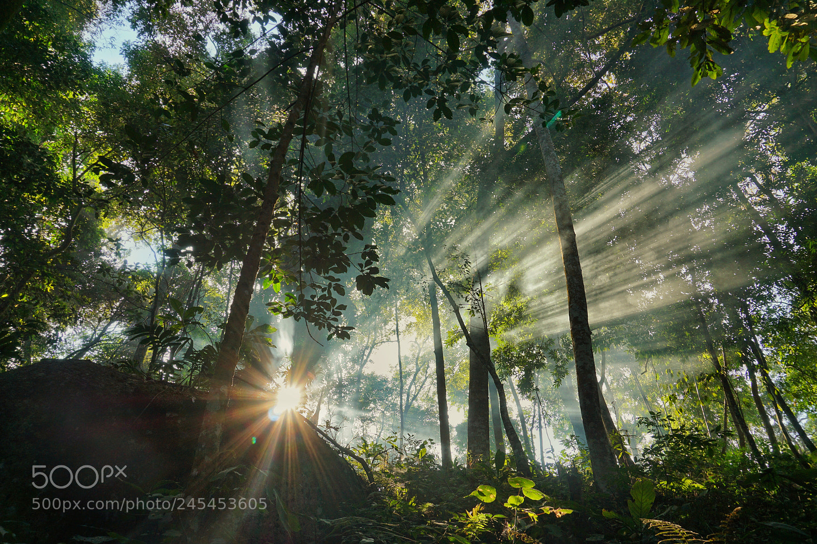 Sony a5100 sample photo. Sunrise photography