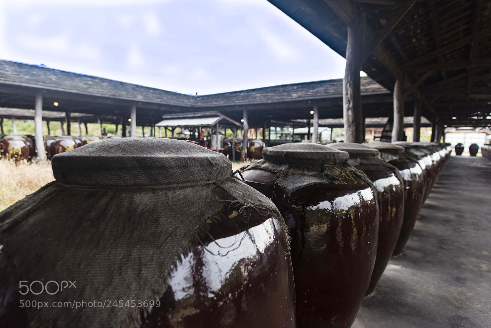Nikon D810 sample photo. Korea style distillery in photography