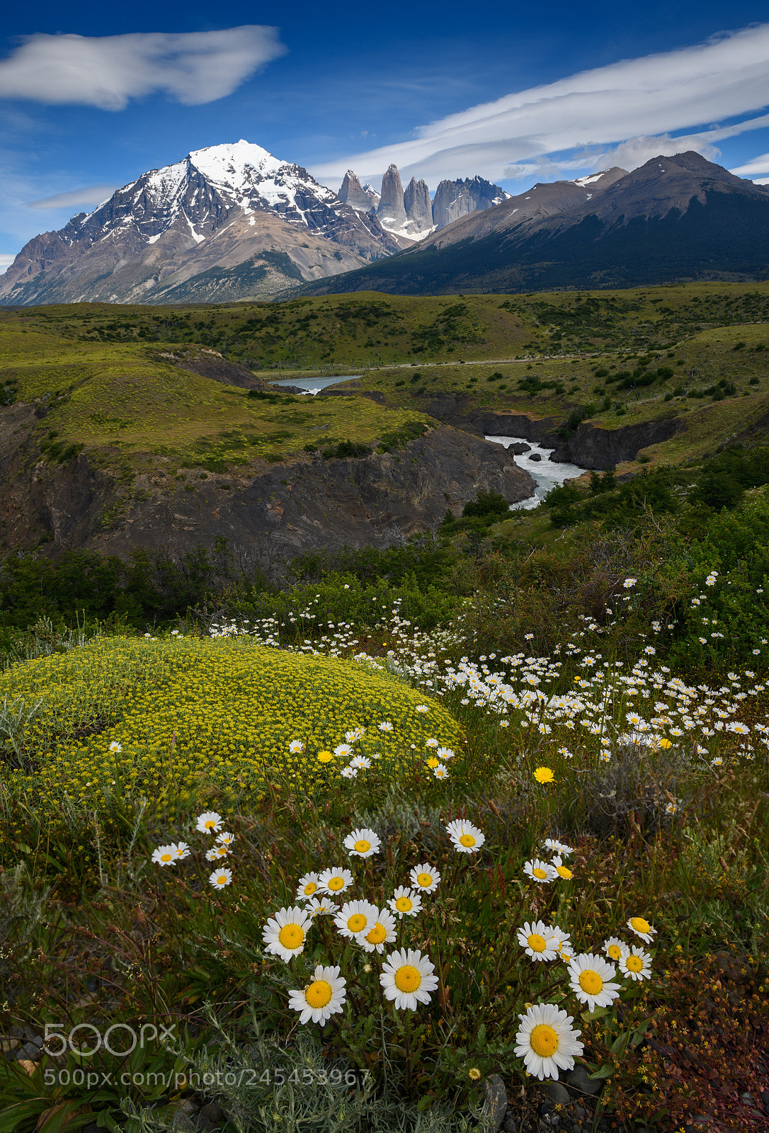 Nikon D850 sample photo. Torres del paine, patagonia photography