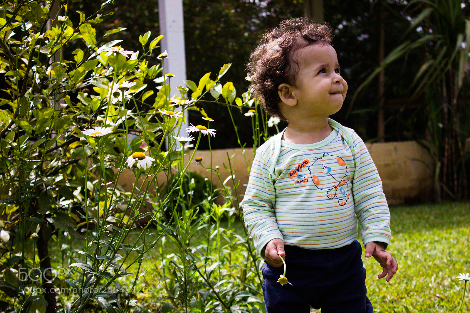 Canon EOS 600D (Rebel EOS T3i / EOS Kiss X5) sample photo. Baby photography