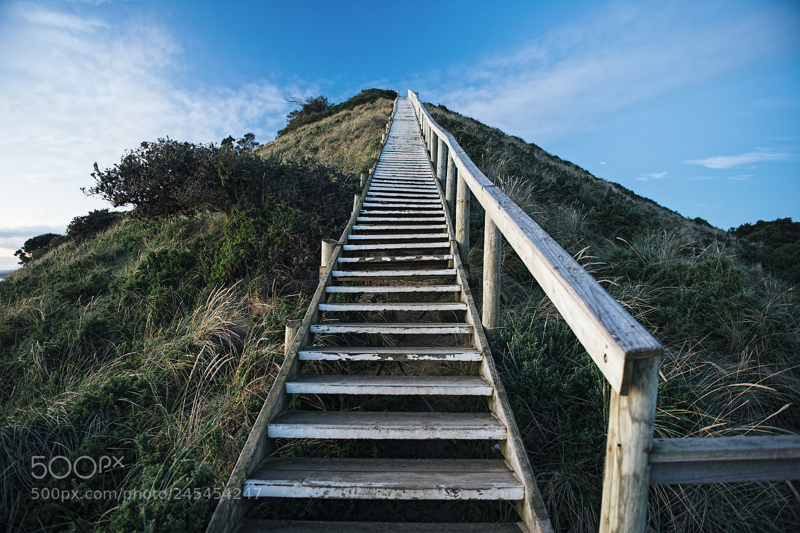 Nikon D800 sample photo. View of bruny island photography