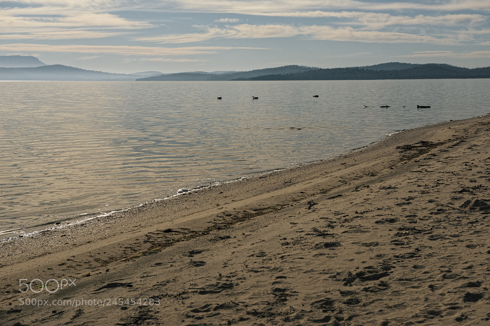 Nikon D800 sample photo. View of bruny island photography