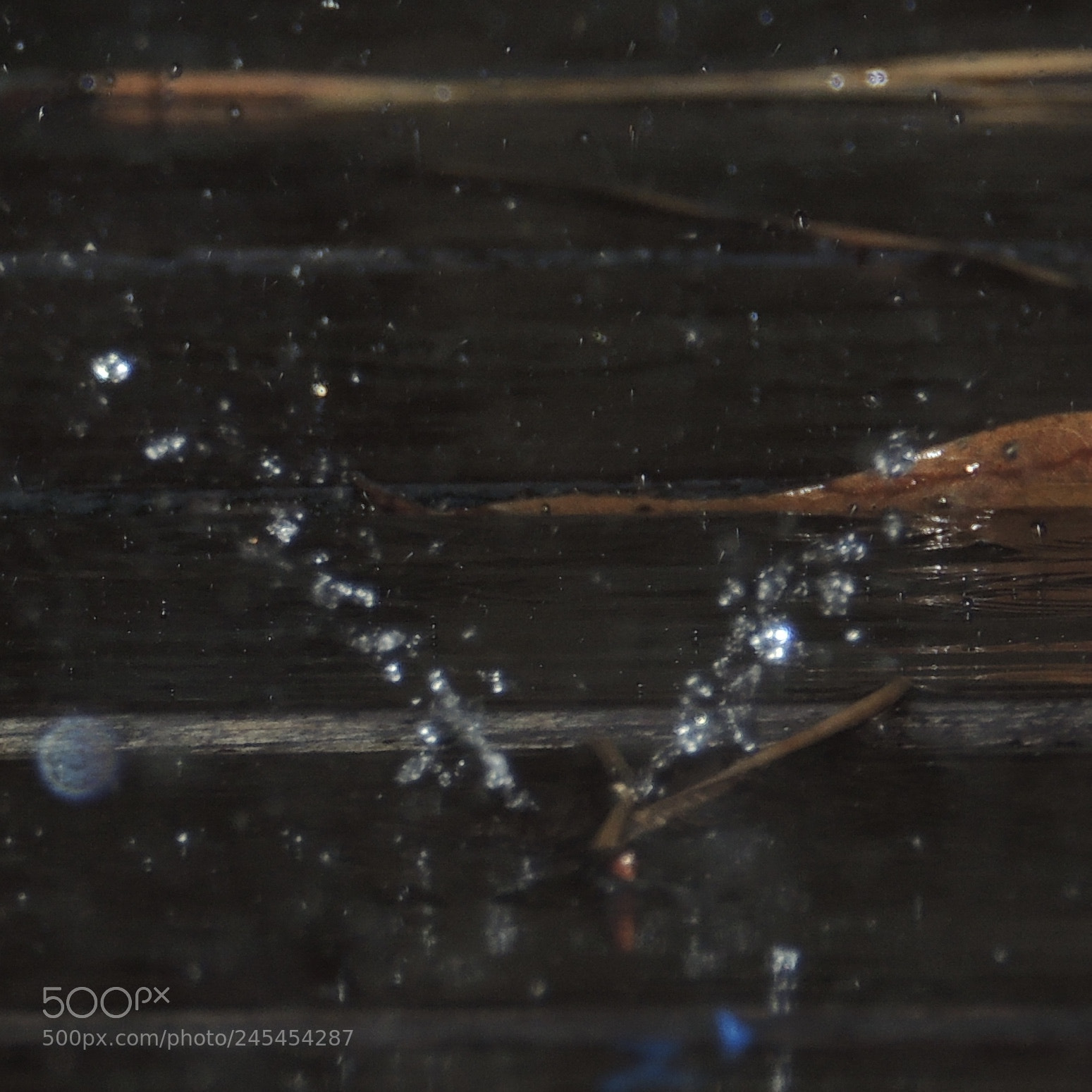 Nikon Coolpix P510 sample photo. Exploding raindrop photography
