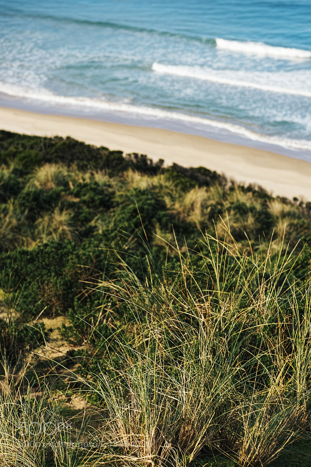 Nikon D800 sample photo. View of bruny island photography