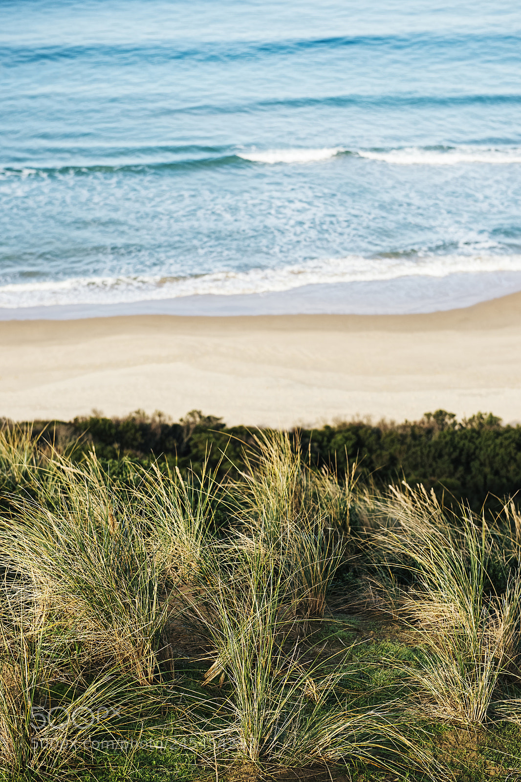 Nikon D800 sample photo. View of bruny island photography