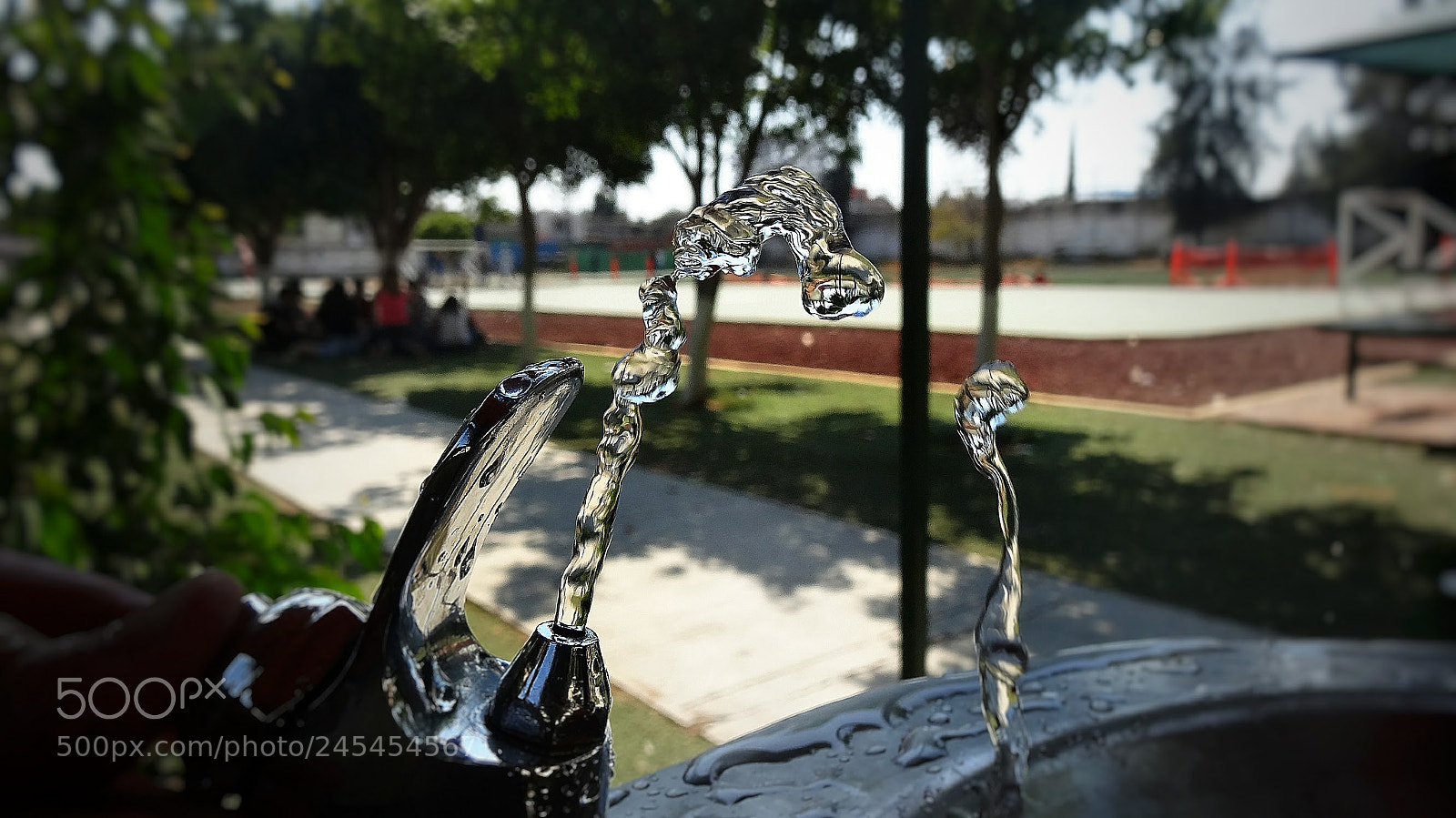 Sony Cyber-shot DSC-HX20V sample photo. Captura el momento photography