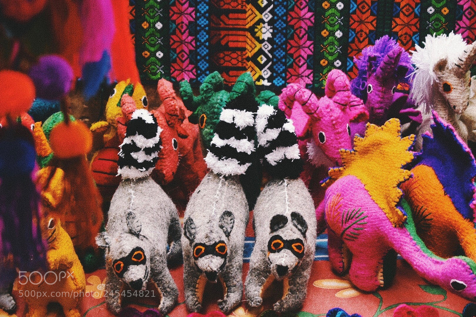 Nikon D5600 sample photo. Colors photography