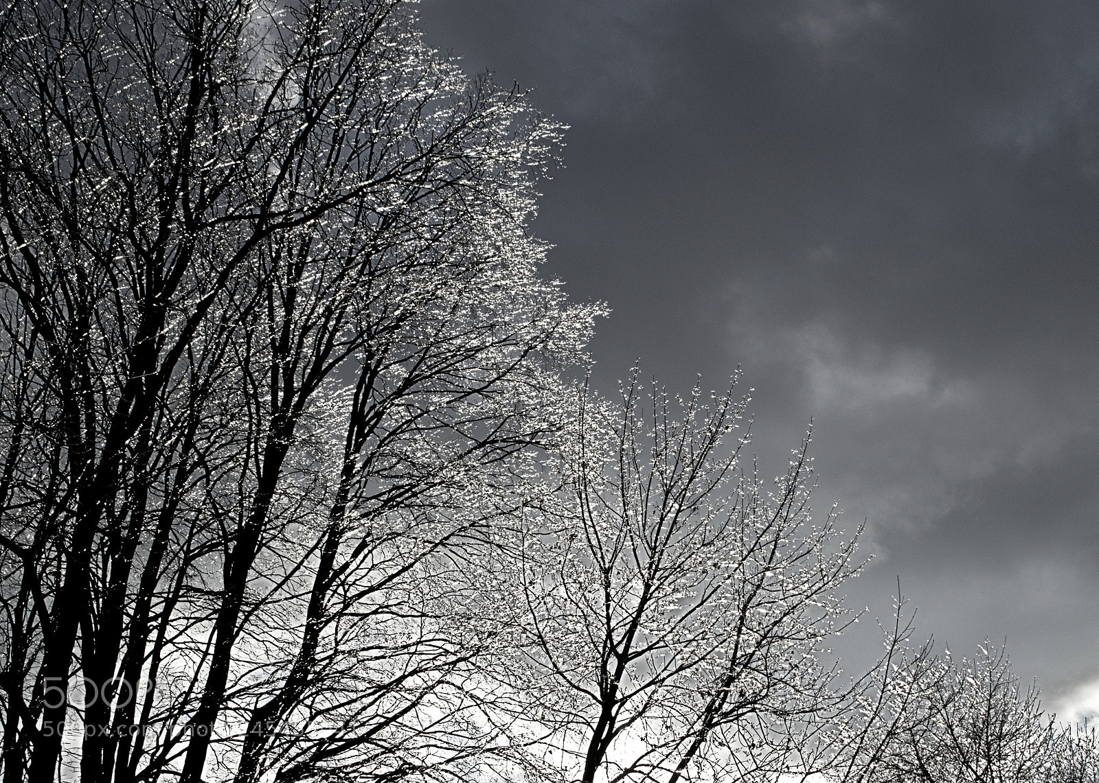 Nikon D3200 sample photo. Copyright richard b morgan photography
