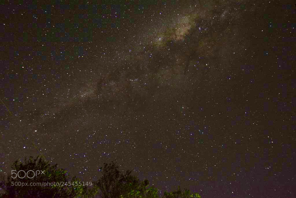 Nikon D5200 sample photo. The dark channels of photography