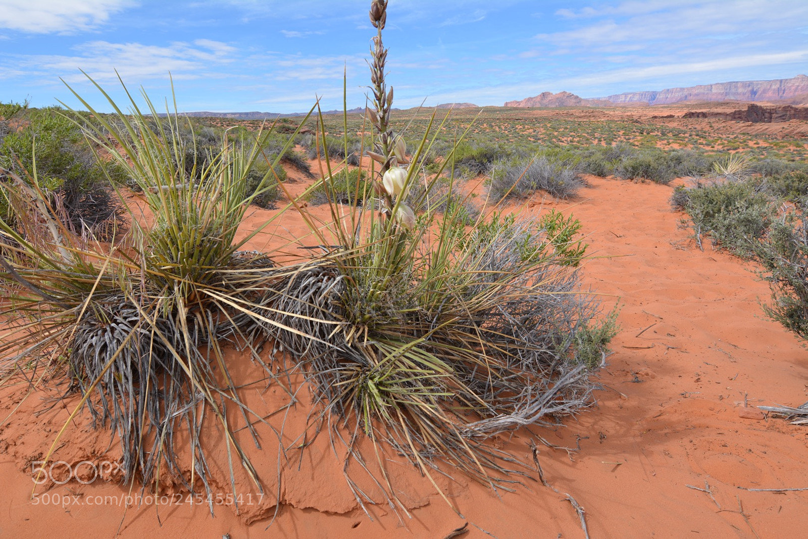Nikon D5200 sample photo. Death valley photography