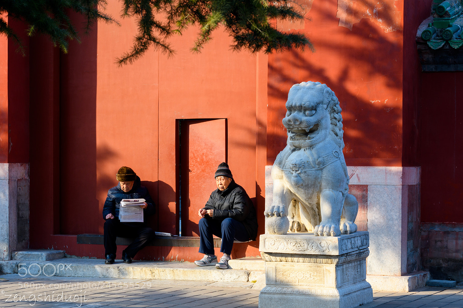 Nikon D500 sample photo. 晒太阳 photography