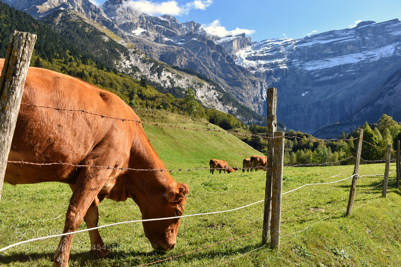 Nikon D3400 sample photo. Cirque de gaverny france photography