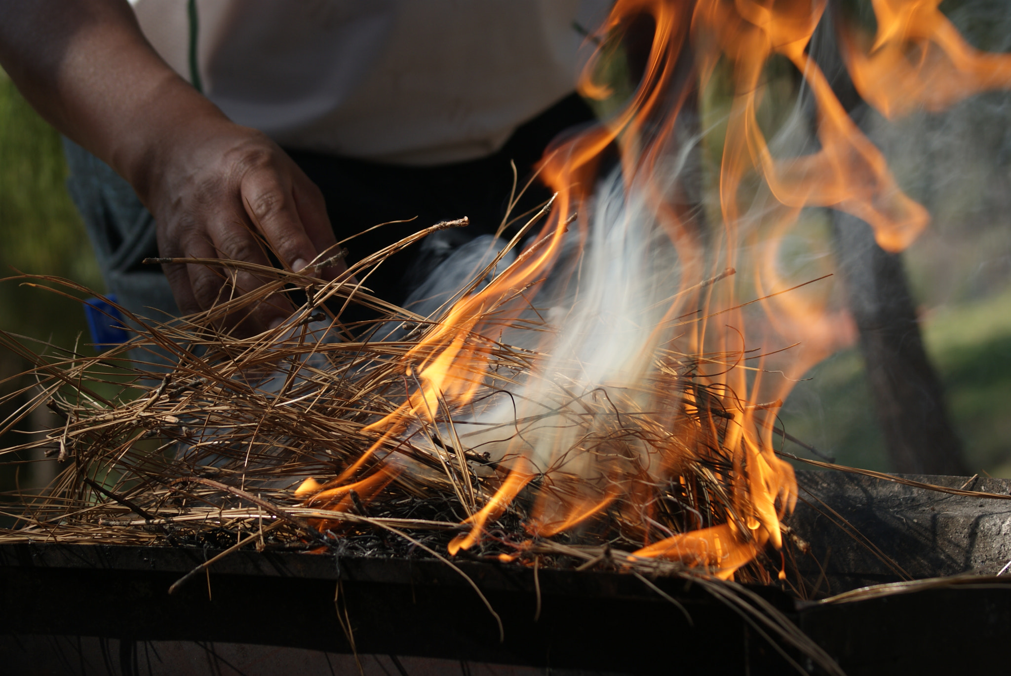 Sony 75-300mm F4.5-5.6 sample photo. La carnita asada photography