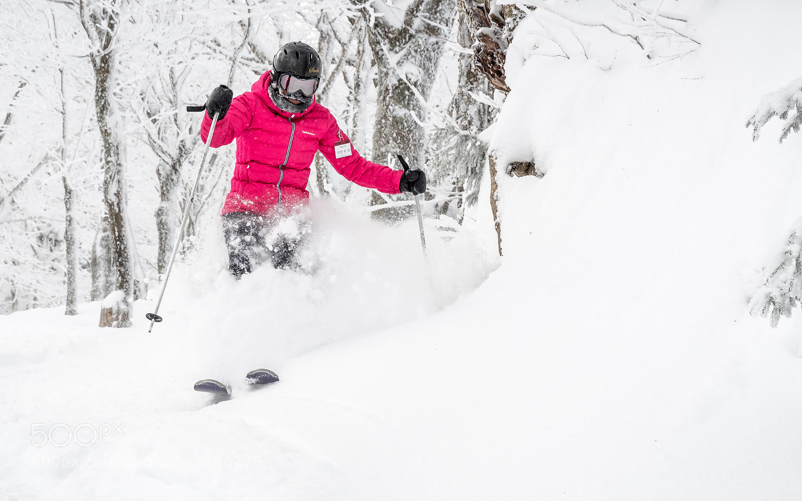 Nikon D500 sample photo. Fresh powder photography