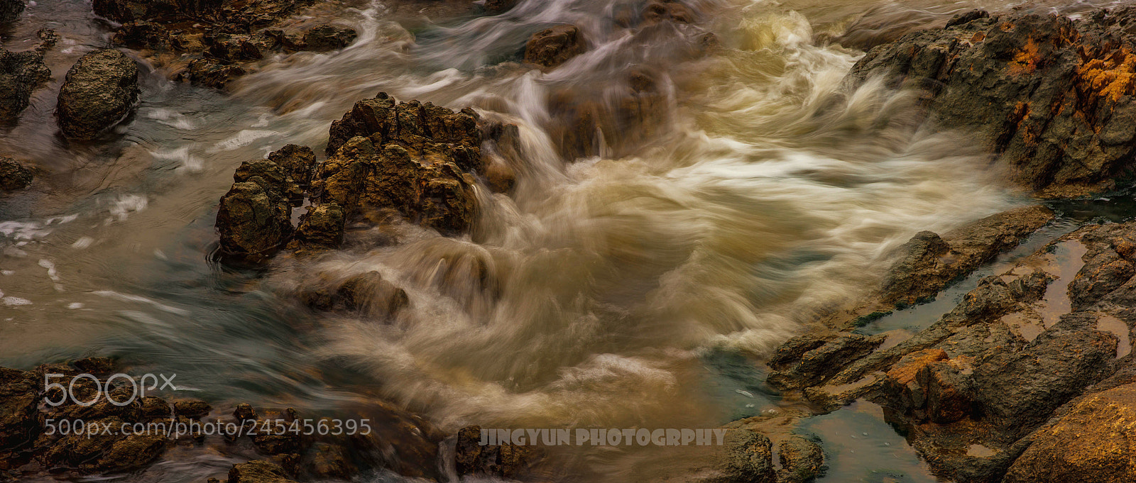 Nikon D810 sample photo. Untitled photography