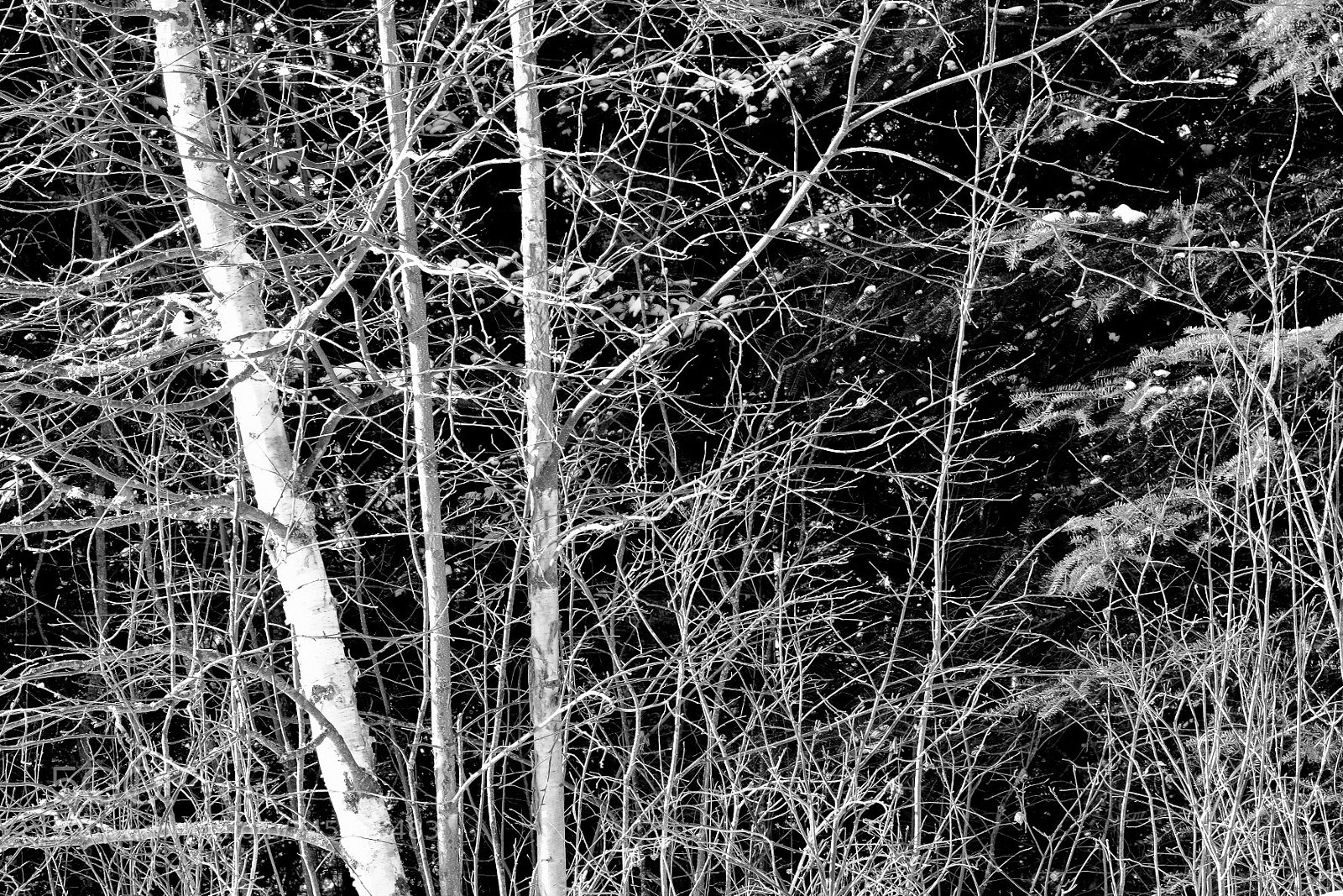 Fujifilm X-T10 sample photo. Untitled photography