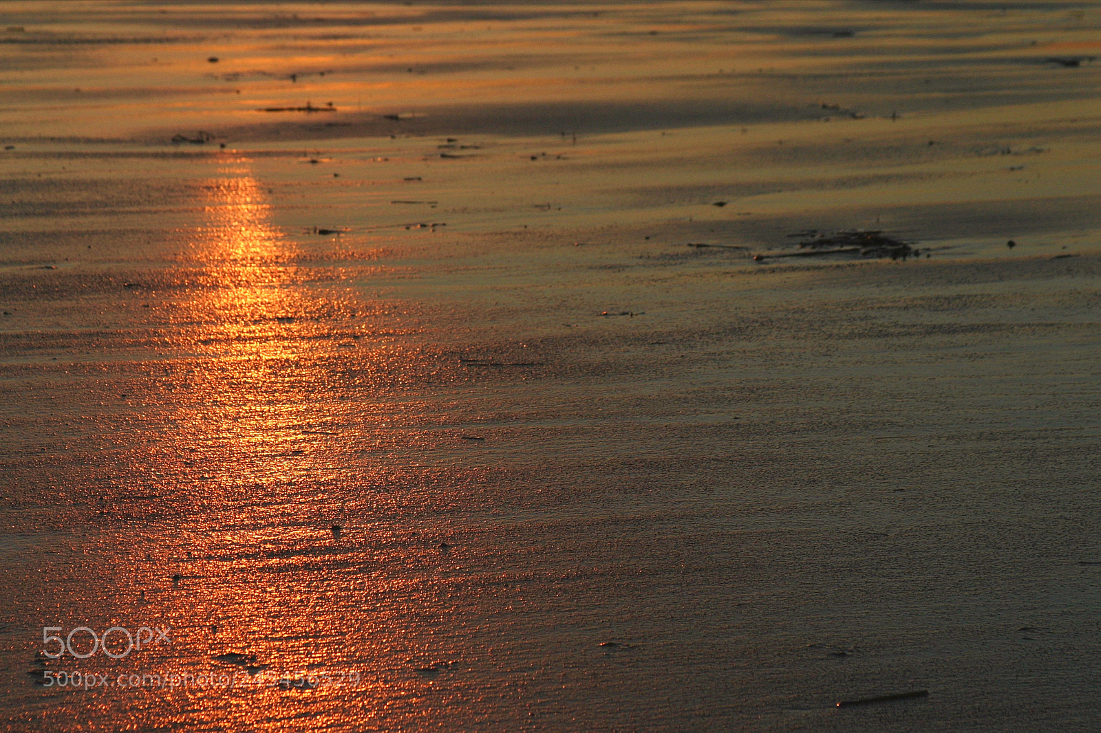 Canon EOS 10D sample photo. Sunset photography