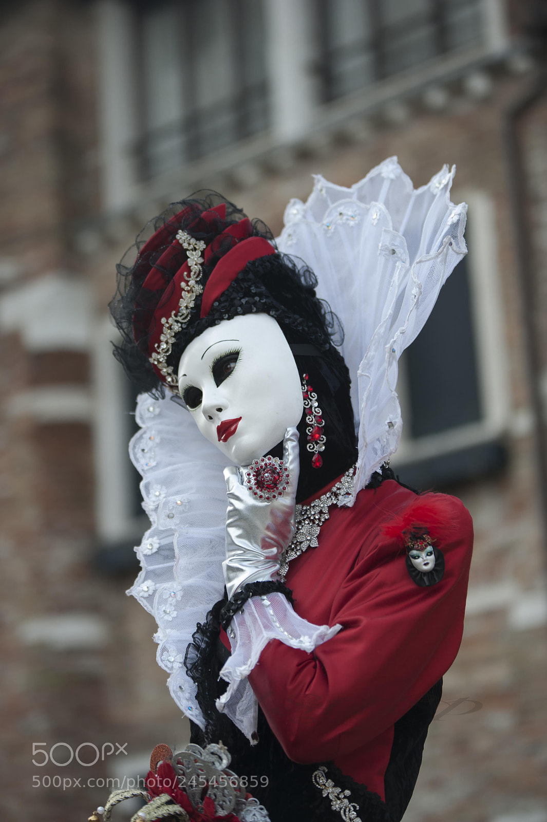 Nikon D700 sample photo. Carnaval a venise photography