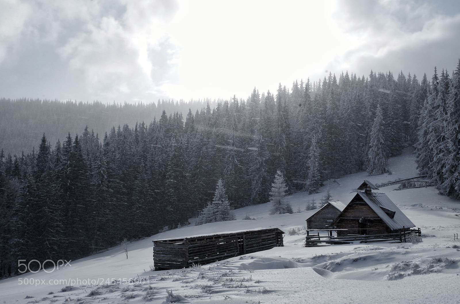 Pentax K-30 sample photo. Snow photography