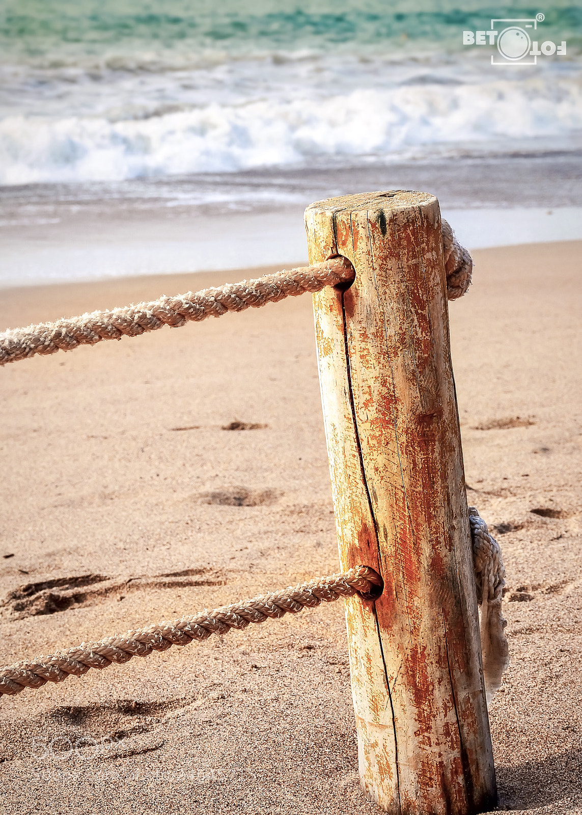 Nikon D7100 sample photo. Cl ture d oc photography