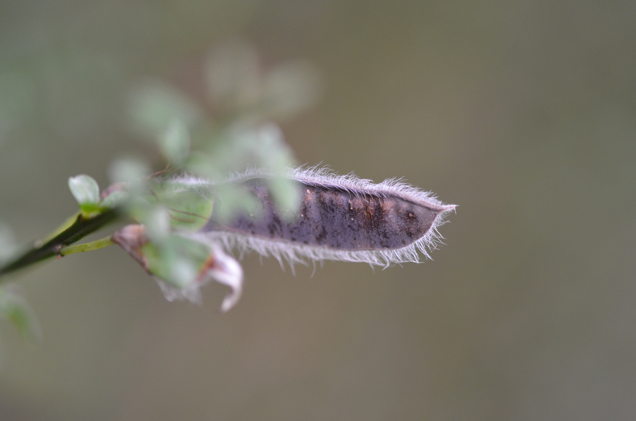 Sigma 105mm F2.8 EX DG OS HSM sample photo