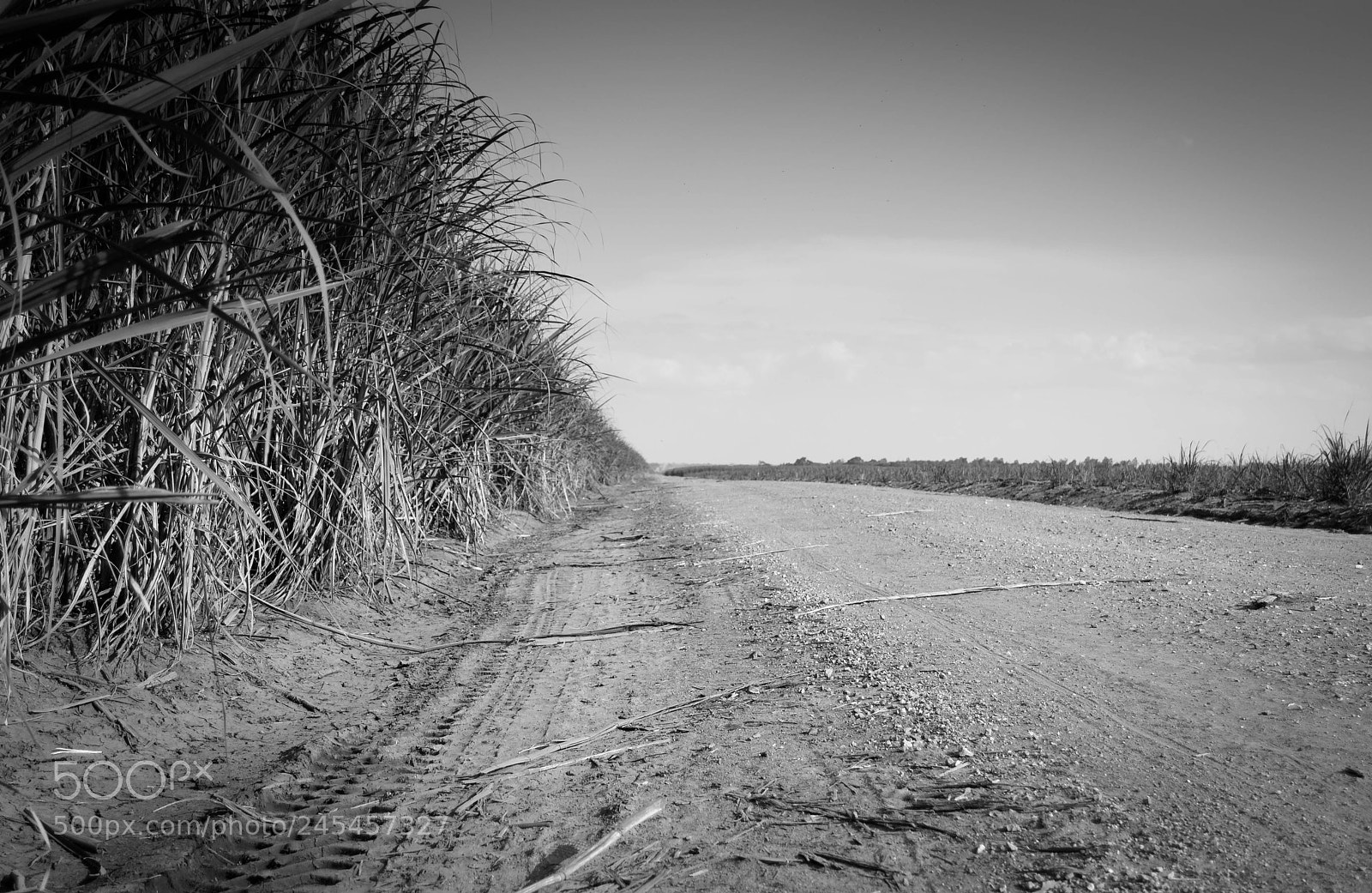 Nikon D3100 sample photo. Drive away photography