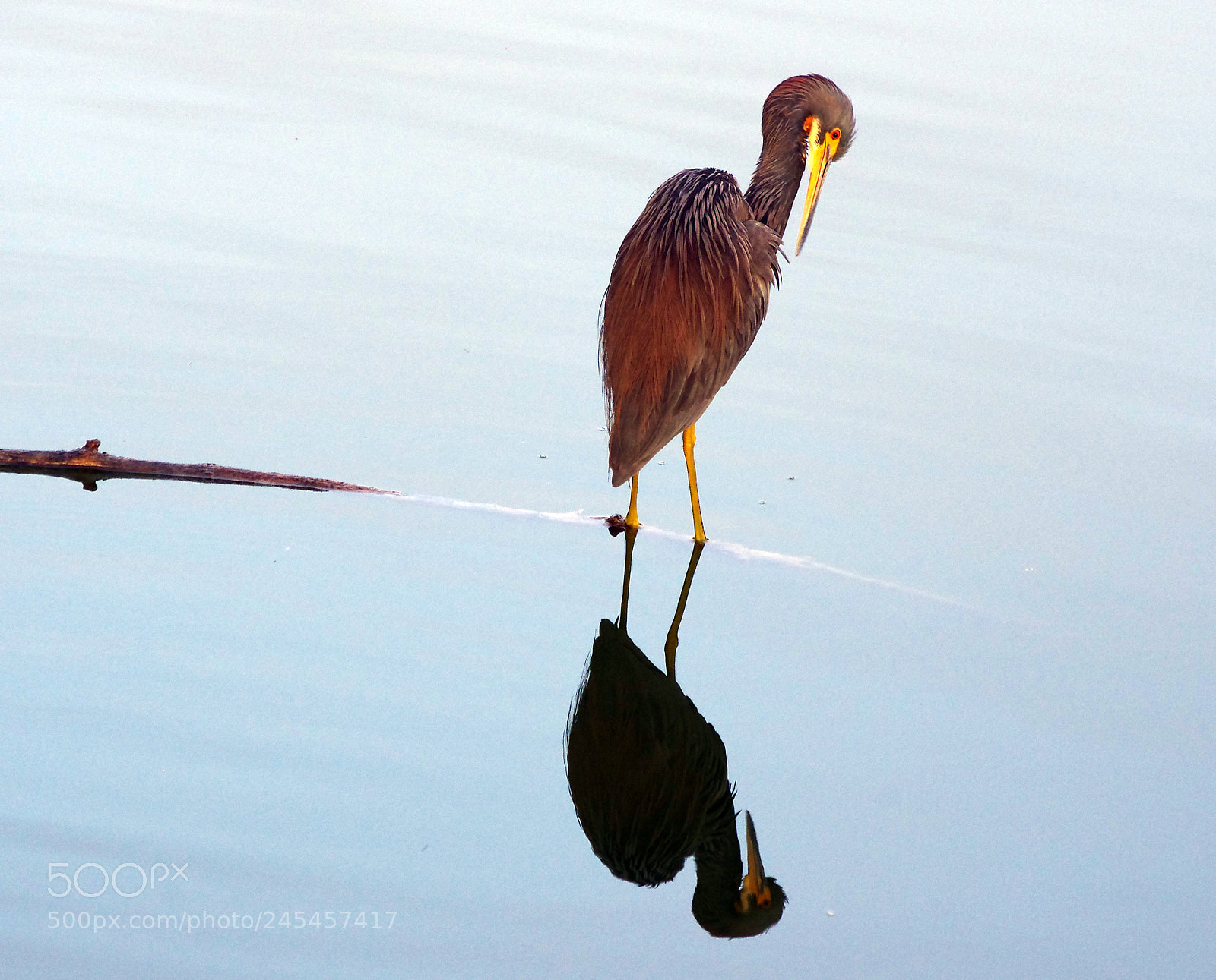 Pentax K-5 sample photo. Reflect photography