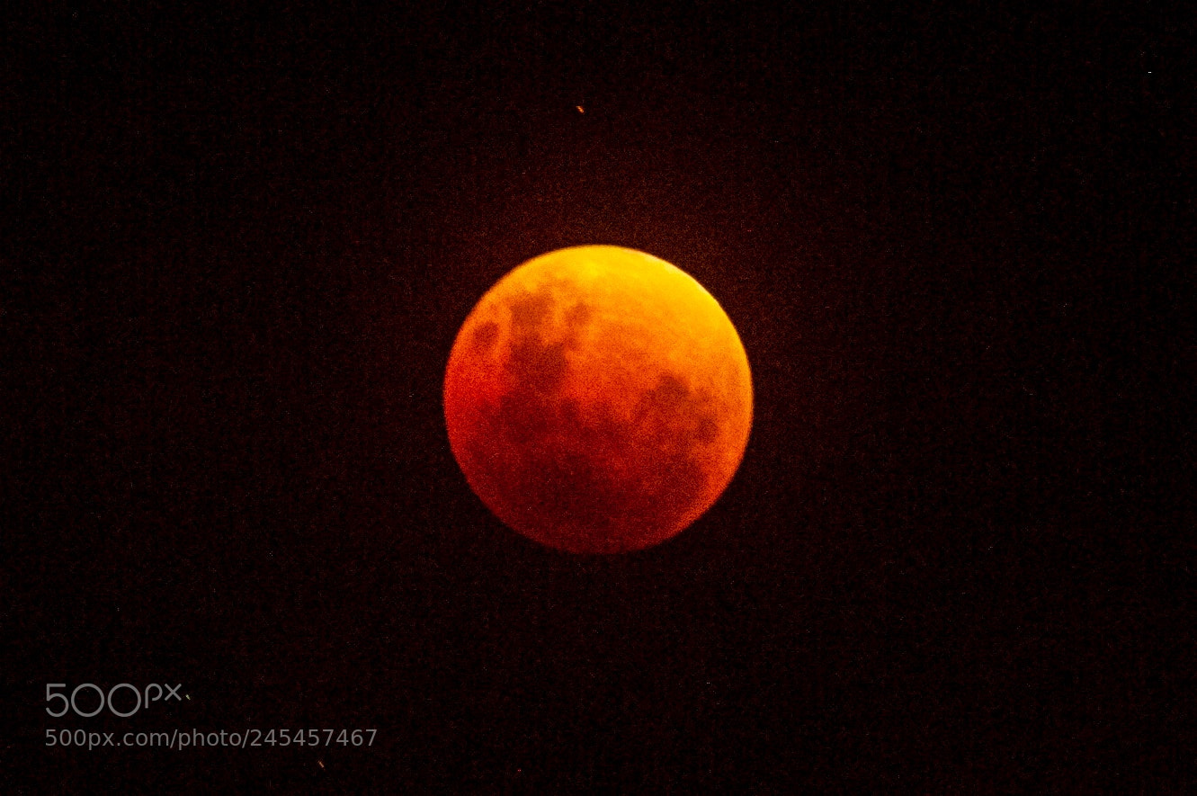 Nikon D700 sample photo. Superbloodmoon 31.01.18 photography