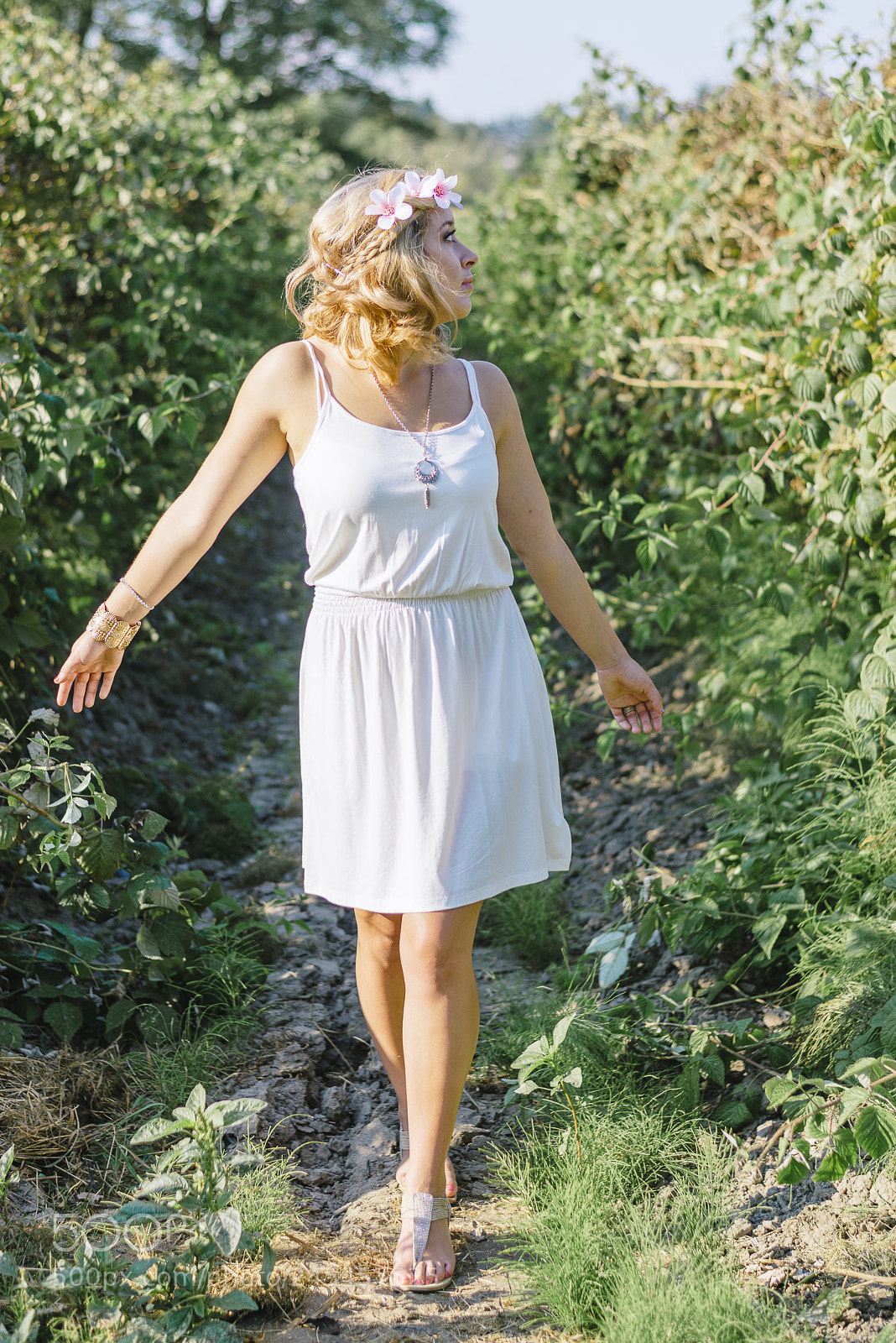 Nikon D800 sample photo. Lost in the grapevines photography