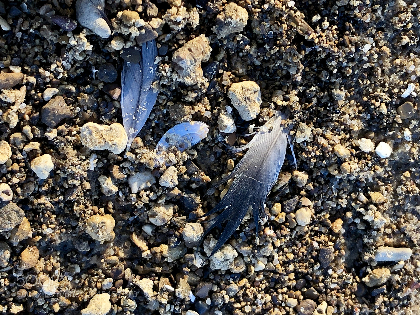 Apple iPhone X sample photo. Droppings photography