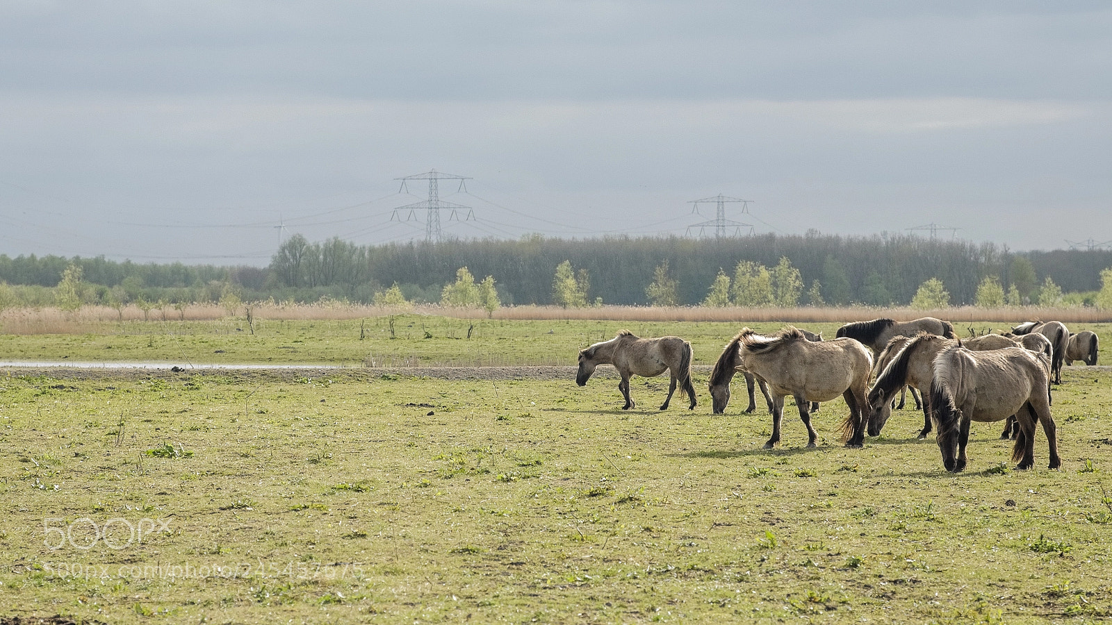 Canon EOS 5D sample photo. Passing by photography