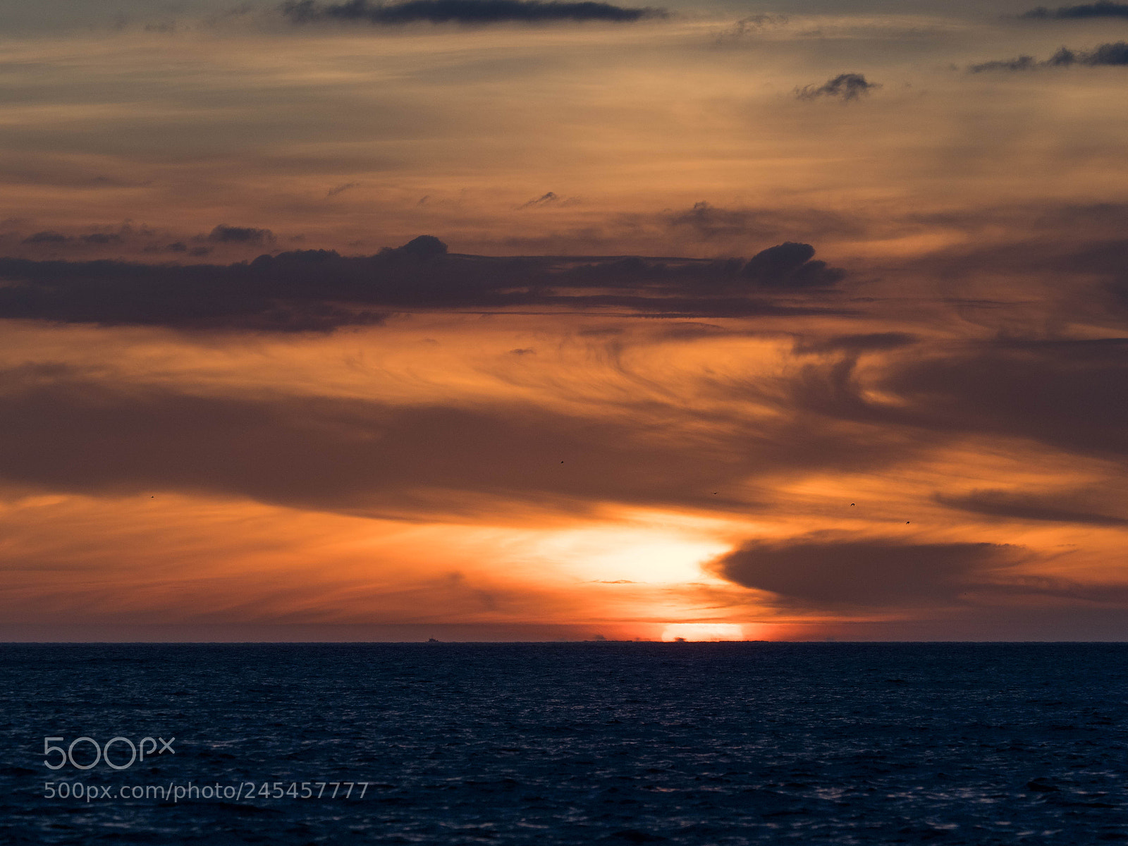 Olympus OM-D E-M1 Mark II sample photo. Pastel sunset. photography