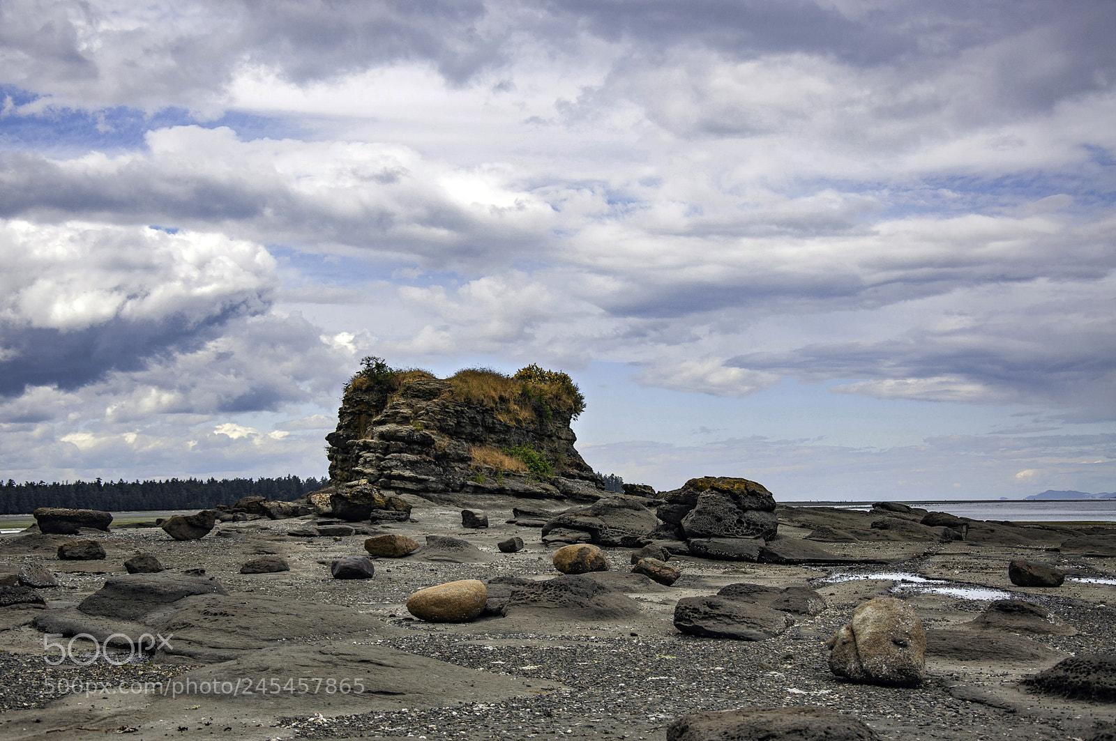 Nikon D90 sample photo. Low tide photography