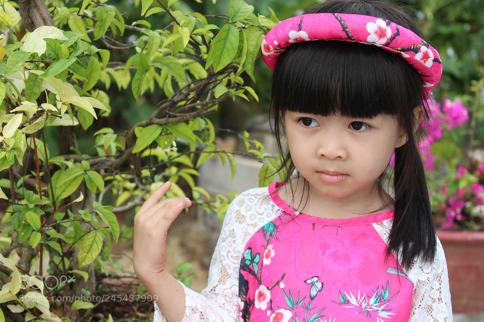 Canon EOS 600D (Rebel EOS T3i / EOS Kiss X5) sample photo. Img photography