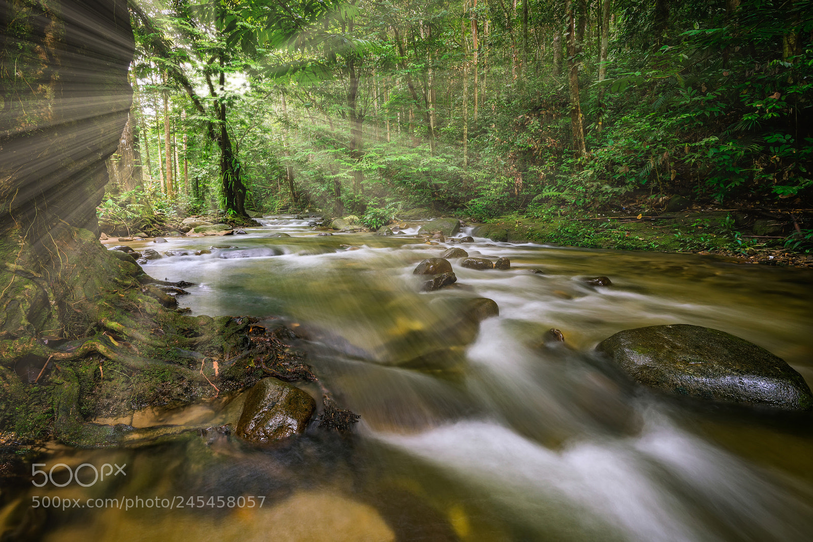 Sony a7R II sample photo. Morning sun at congkak photography
