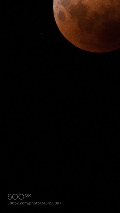 Nikon D3X sample photo. Red moon after eclipse. photography
