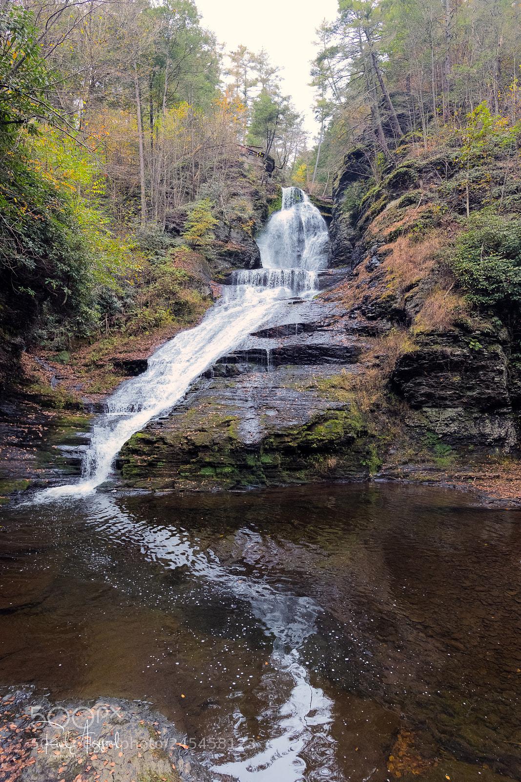 Nikon D850 sample photo. Dingman's falls photography